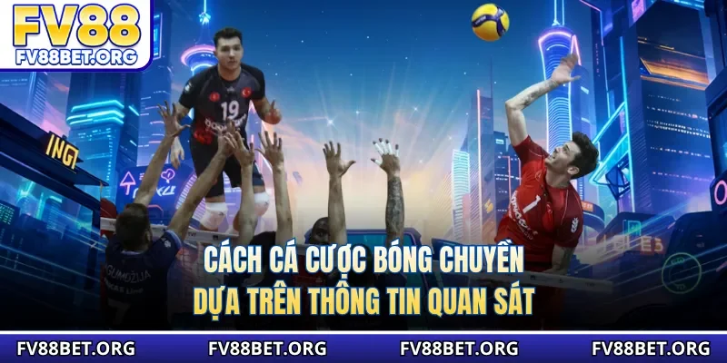 Cách cá cược bóng chuyền dựa trên thông tin quan sát 